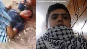 10350336_429308613896050_4759587633140593954_n