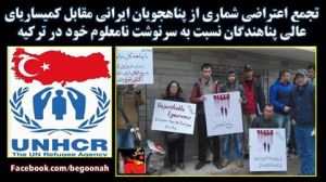 10374020_427787960714782_9157006188479450759_n