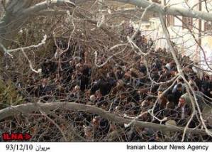 10422433_421662201327358_1441181020186977180_n