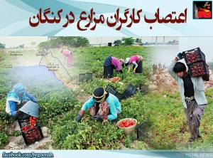 10483836_436224376537807_7444014930182584878_n