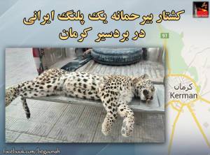 10636222_435430386617206_2734542894077622717_n