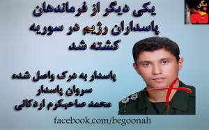 11025804_423279867832258_3848805235687075699_n