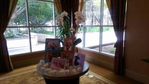 11038401_421803164646595_8882561418605471347_n