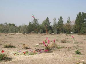 11050138_435431646617080_250788831478143195_n