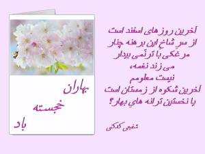 11060467_429586423868269_3168738092320904749_n