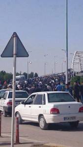 11071530_431932820300296_110142308962680108_n