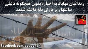 11082225_436187736541471_6680293373651120225_o