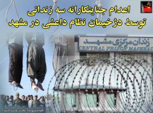 11088229_434902596669985_580818676729852469_n