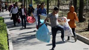 10989963_437128876447357_7377774813497605055_n