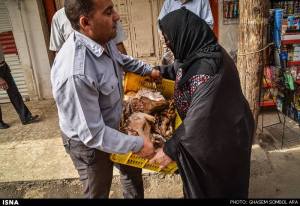 11014669_447076722119239_5025406427659280096_n