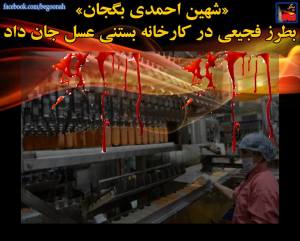 11017048_448745448619033_7950334674910157891_n