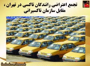 11036763_442820302544881_8085826885631335116_n