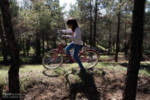 11055329_437128906447354_2590142112332200581_n