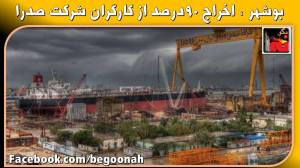 11062027_436968163130095_2030988499074241785_o