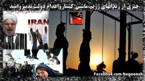 11076737_442164379277140_2322515709394120441_o