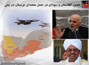 11080921_437002753126636_4571805557776219904_n