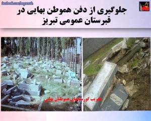 11091242_439069579586620_3928692366591368302_n