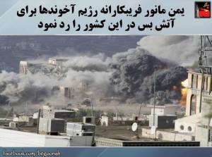 11110763_444155239078054_3677836235432754458_n