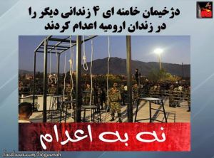 11127482_444854225674822_2721140353608127044_n