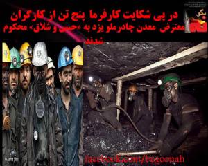 11130213_436794376480807_3233014795442395048_n