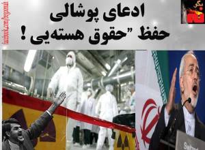 11134000_438063173020594_292330996599327421_n