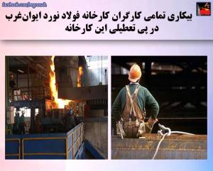 11146223_441961159297462_6967408287922361637_n