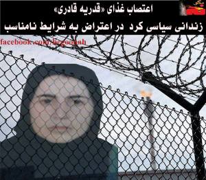 11149666_448206728672905_9089004568473135328_o