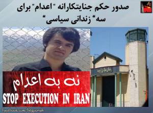 11150280_441085916051653_745001989719325693_n