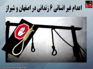 11150508_442471362579775_635291495259314482_n