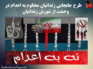 11156132_441540199339558_1108400378517111460_n