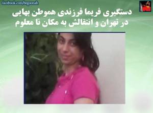 11162508_446254918868086_844536254055887491_n