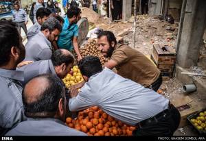 11167994_447076895452555_615435721348062743_n