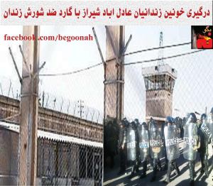 11174348_448594945300750_4360341205636948656_o