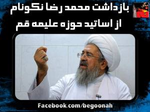 11175005_445192168974361_724213152925410718_n