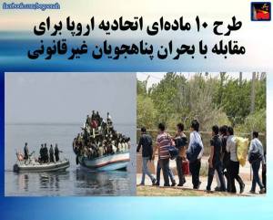 11175026_445358955624349_2850446648920351584_n