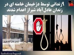 11188458_446967492130162_1920739593498519341_n