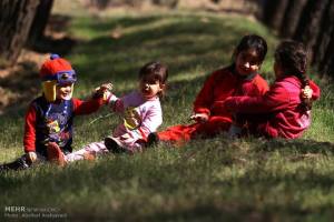 1463028_437128756447369_1605962231912579054_n