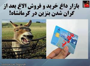 10404461_460109394149305_7718683088907225119_n