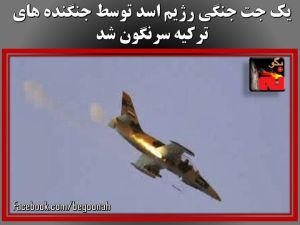 10421273_454361578057420_2853301430862133805_n