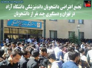 11022549_451169778376600_8539341274963590648_n