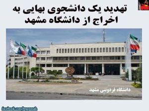 11039050_450007071826204_830284549345091727_n