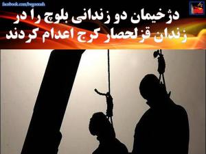 11060874_459937654166479_2292836640392720093_n