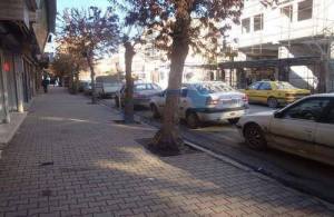 11110061_453362438157334_1350850628209027219_n