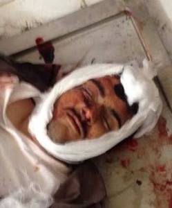 11150706_449068561920055_6247819952192106880_n