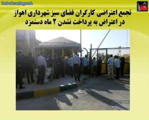 11150956_456597344500510_4300509051291453460_n