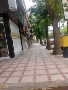 11168019_452917678201810_1492889341163610750_n