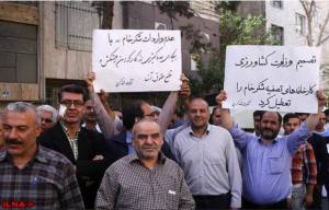 11188236_448998308593747_629236338873362039_n