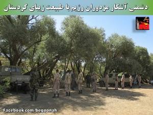 11193433_450015341825377_816591040412862295_n