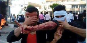 11205177_451026275057617_6058665207161187534_n