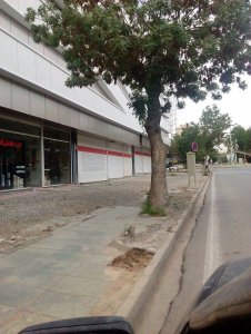 11206094_452917831535128_8408456763512916775_n